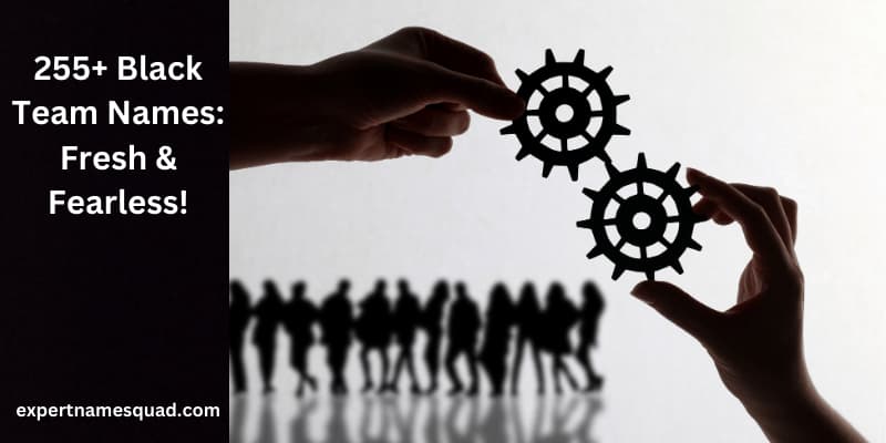 255+ Black Team Names: Fresh & Fearless!